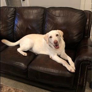 Meet your Posher, Scott